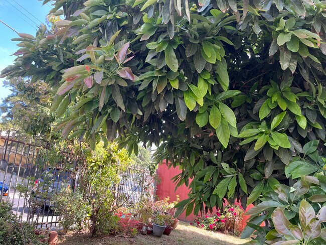 Building Photo - 2811 Garden St