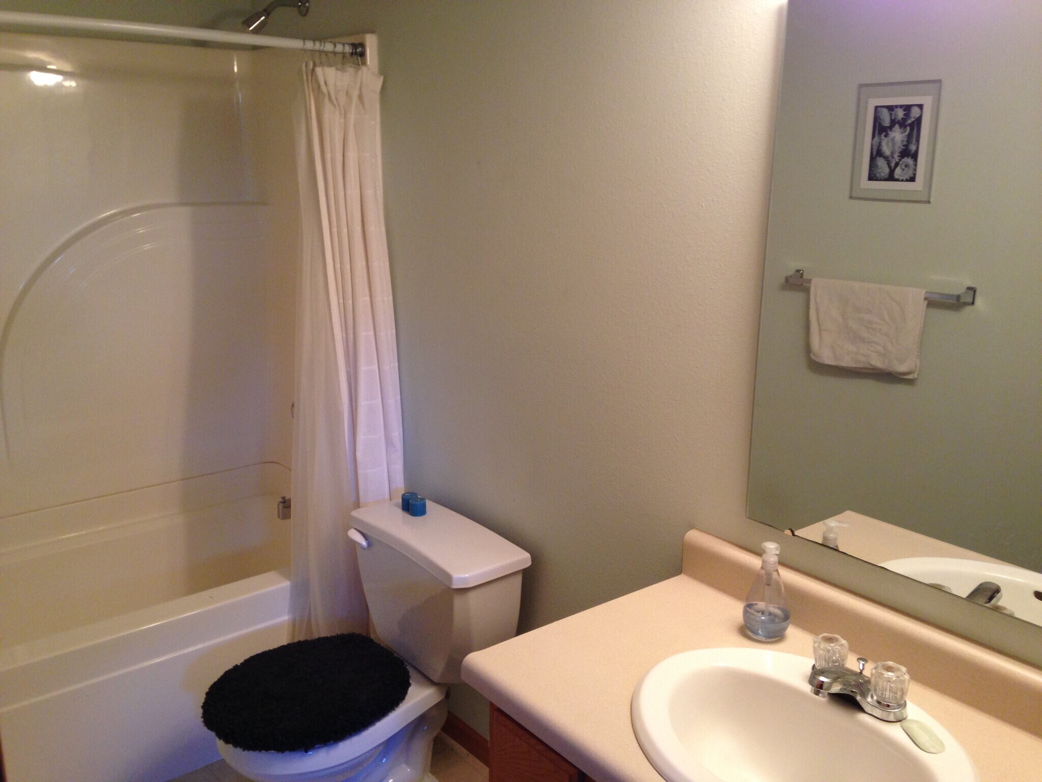 Bathroom on lower level - 2738 Irving Avenue