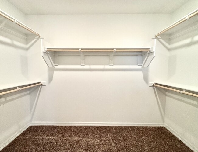 Building Photo - 10248 Altavia Rock St