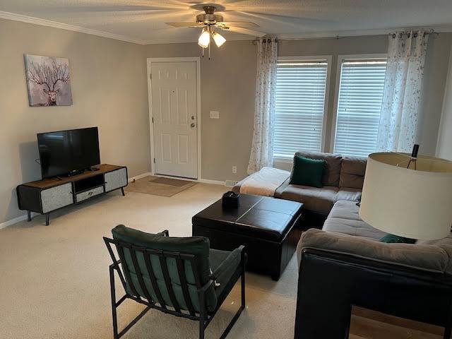 Building Photo - 84 Barnwell Acres Dr