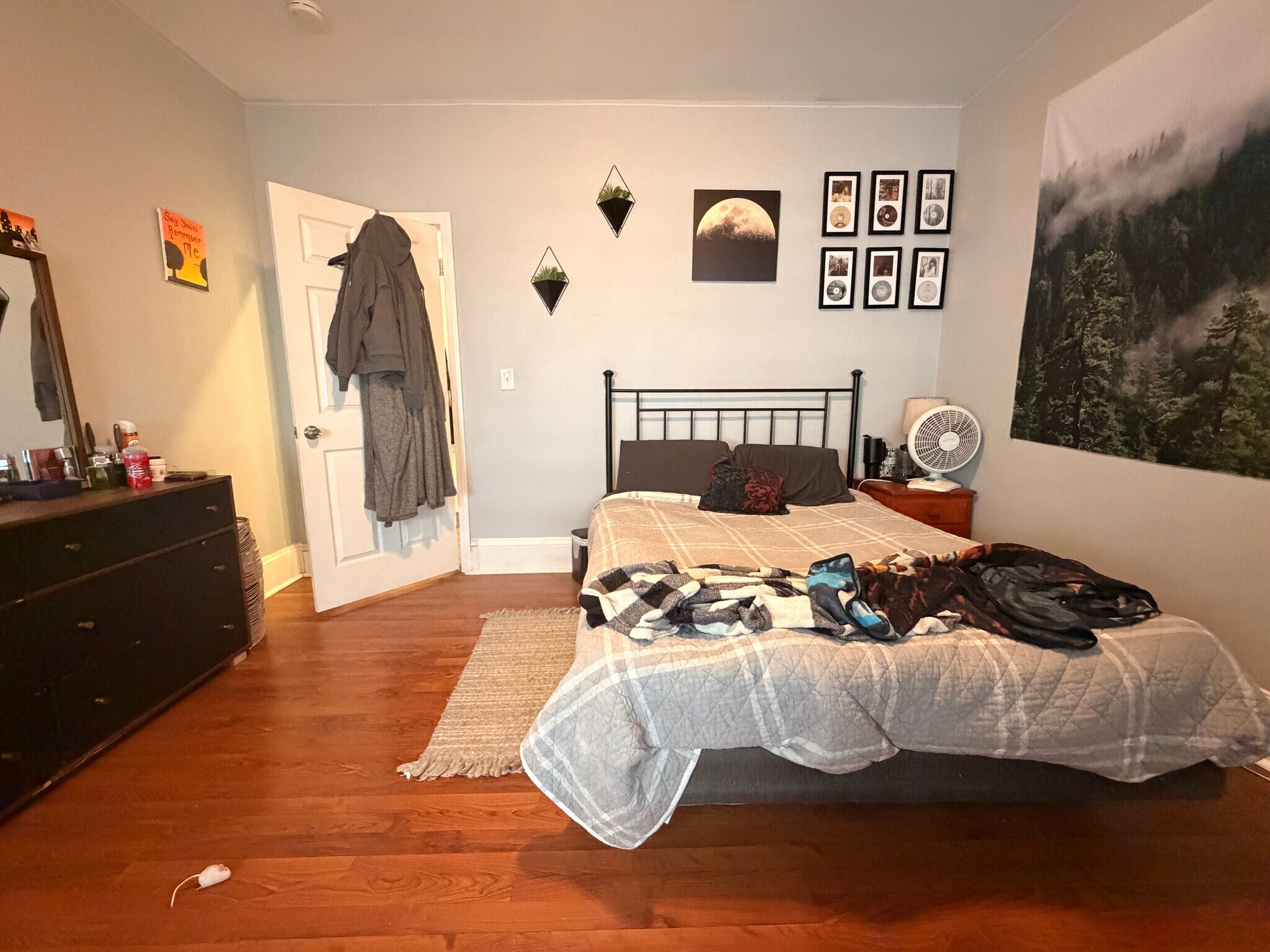 Building Photo - 18 Washburn St