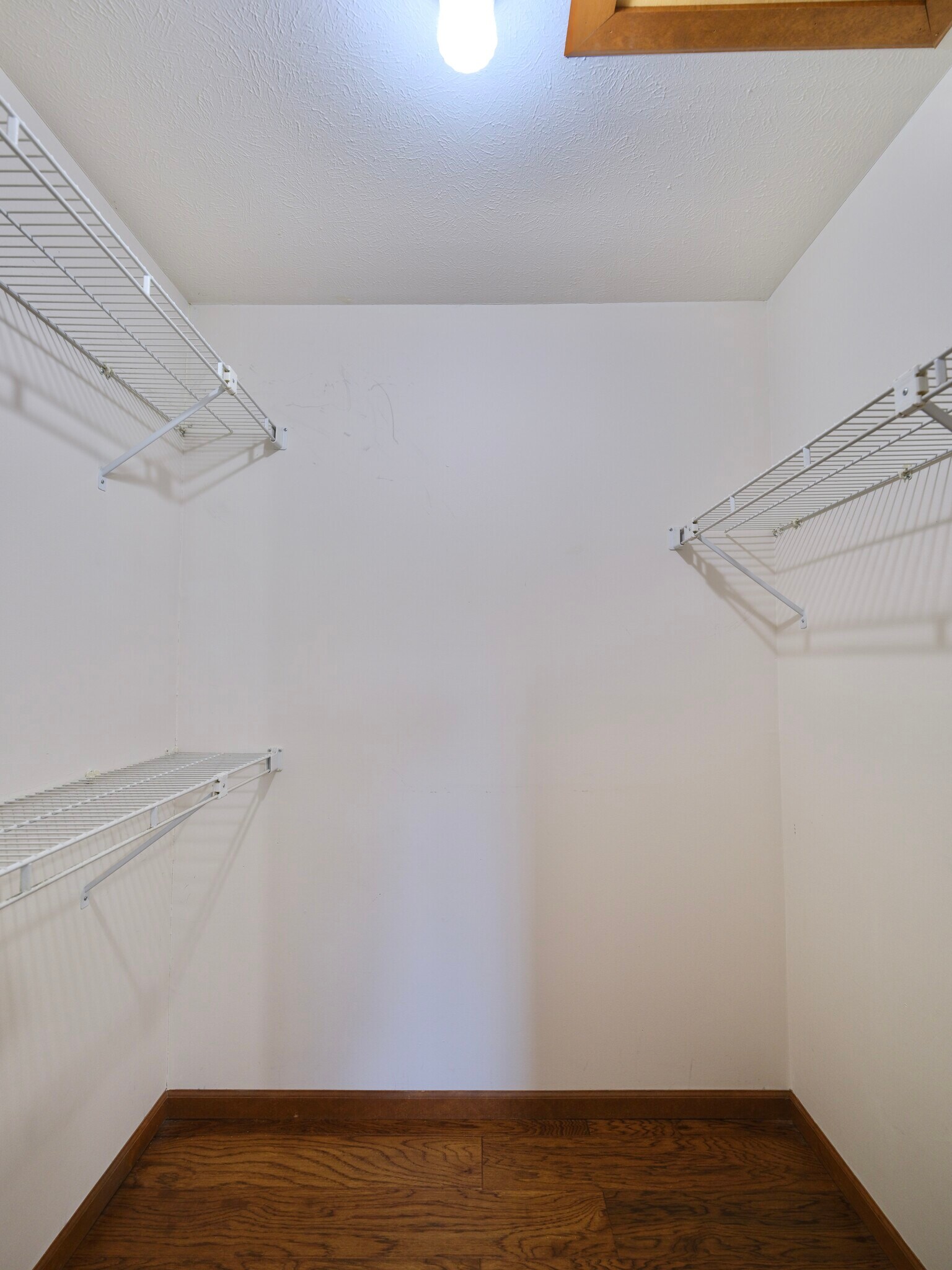 Building Photo - 3506 Damyan Ct