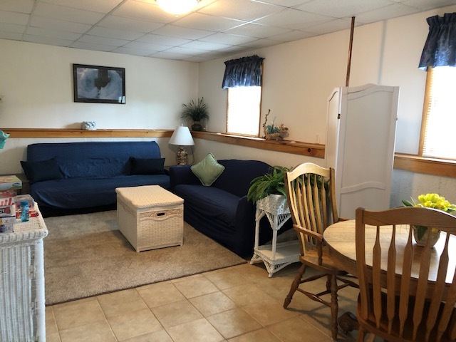 Lower level living area view 1 - 15 Cross St