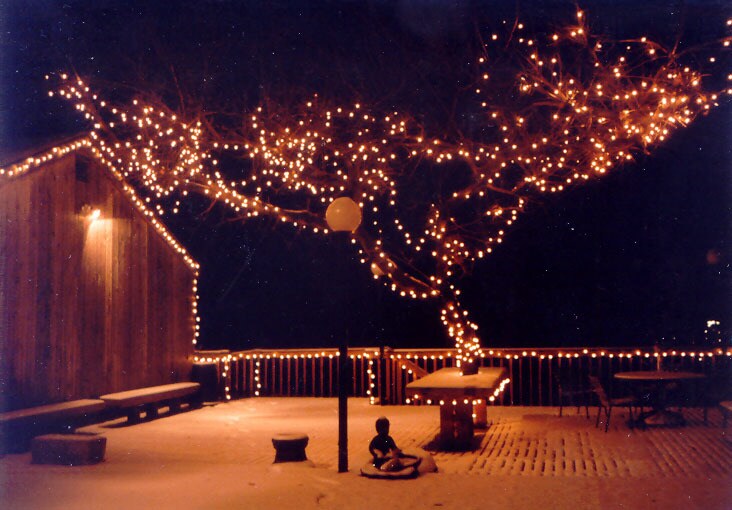 Building Photo - 2959 Deckebach Ave