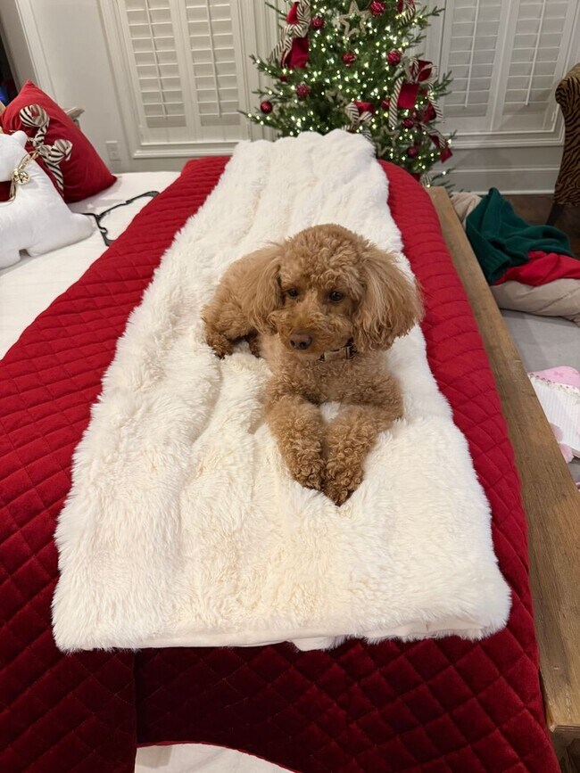 Building Photo - Nice two bedroom condo on one level in Hermitage