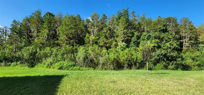 Building Photo - 29868 Picana Ln