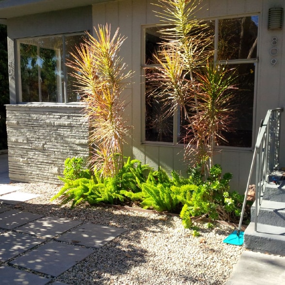 Building Photo - 809 N Las Palmas Ave