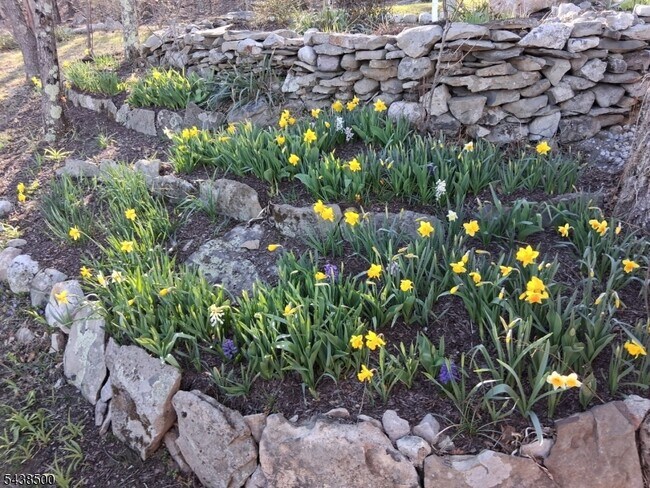 Building Photo - 20 Upper Mountain Rd