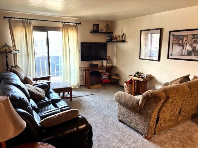 Building Photo - Winter Seasonal Rental- Dillon Valley East S203
