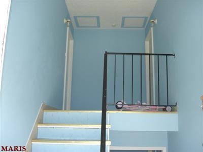 entry - 257 Mount Everest St