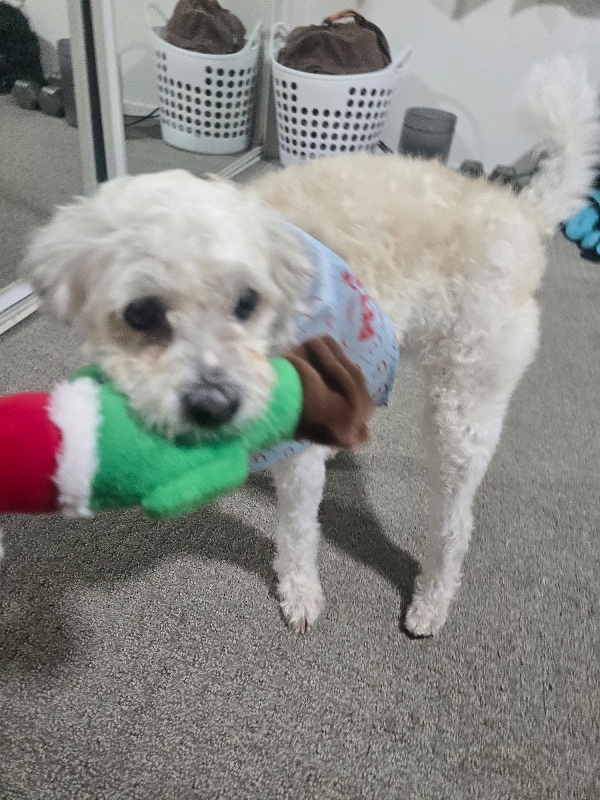 Building Photo - 1107 Trails Ln