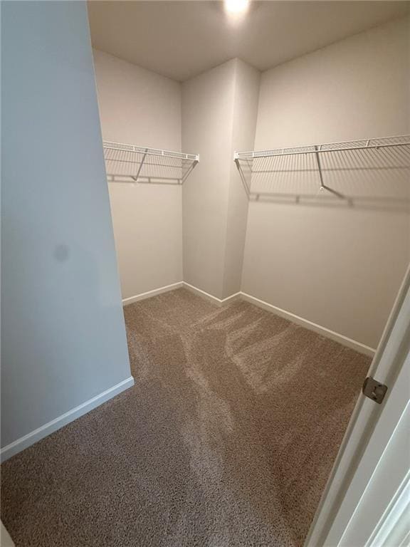 Building Photo - 3061 Greyton Dr