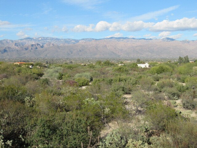 Building Photo - Large (3,825"), Beautiful & Luxurious Eastside Home with Breathtaking Mtn. Views.