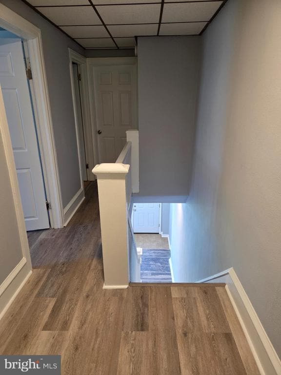 Building Photo - 1954 Kohl St