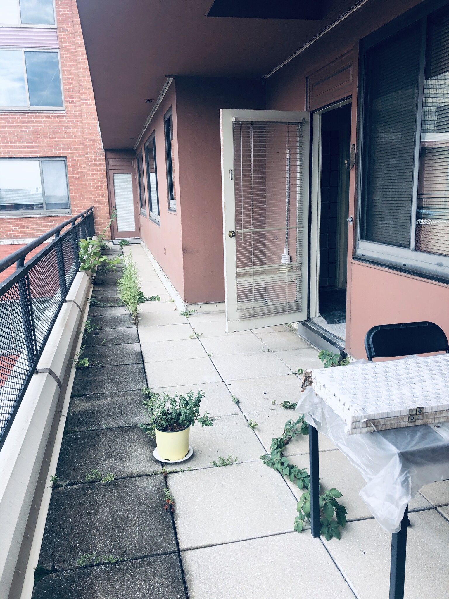 Deck - 1021 Arlington Blvd