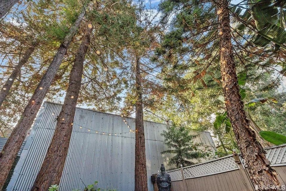 Yard - 30 Bernice St