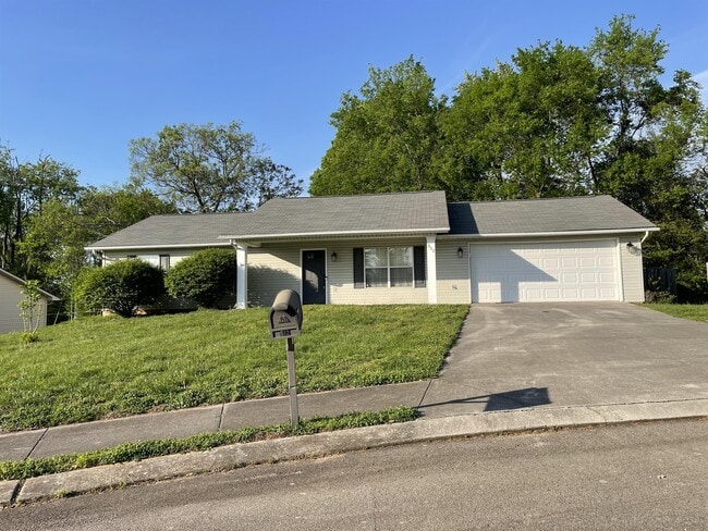 Building Photo - 512 Lejeune Dr