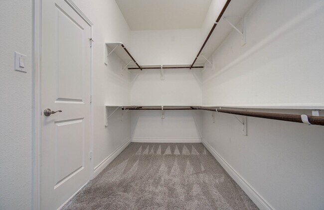 Building Photo - 3605 Dolan Trail Ct