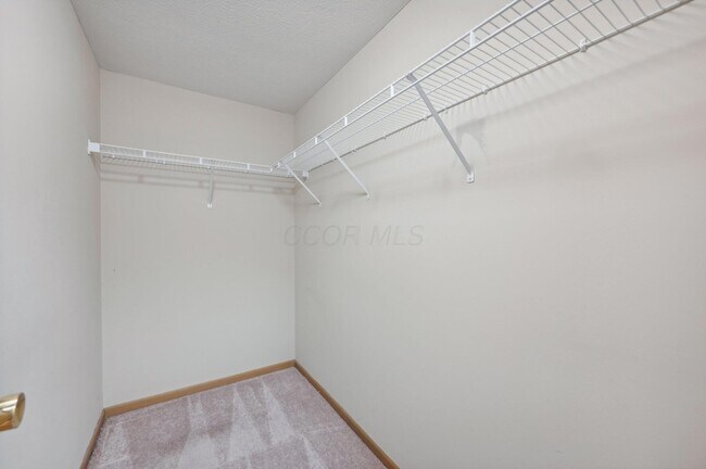 Building Photo - 3978 Summerstone Dr