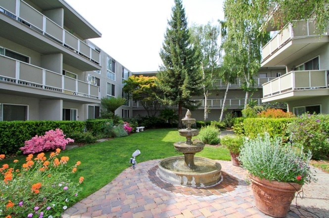 Courtyard - 181 Del Medio Ave