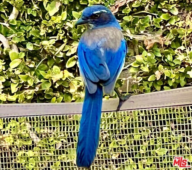 Building Photo - 1008 Westholme Ave