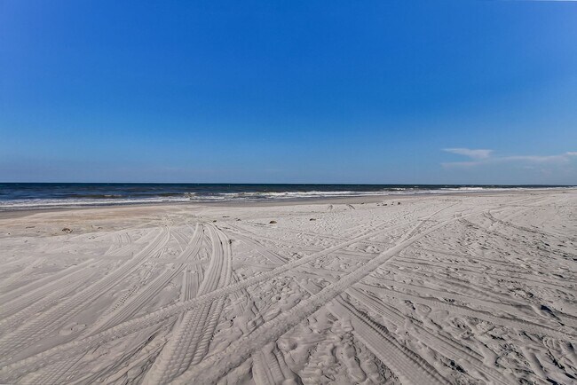 Building Photo - Adorable Newly Renovated 3/2 on Amelia Island’s South End