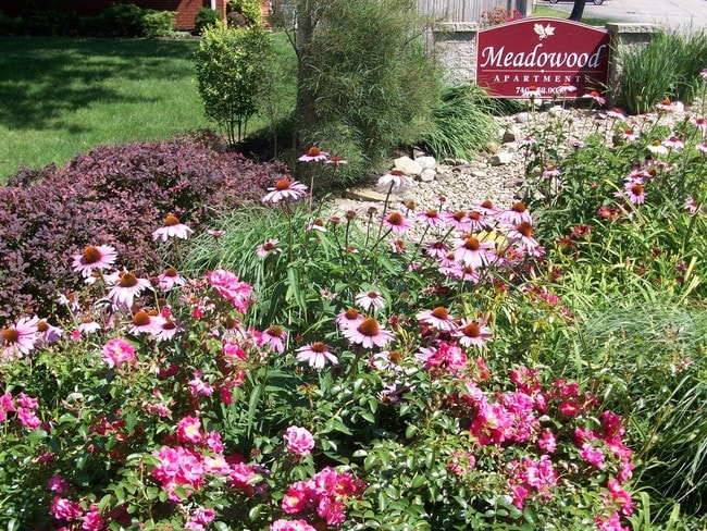 Meadowood Apartments - Meadowood
