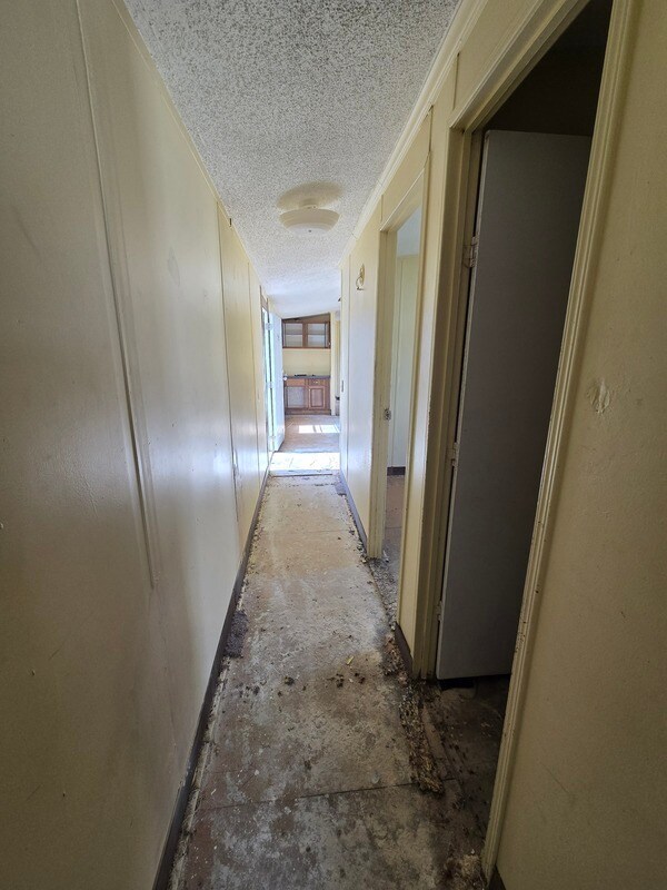 Building Photo - 2115 Cattail Cir