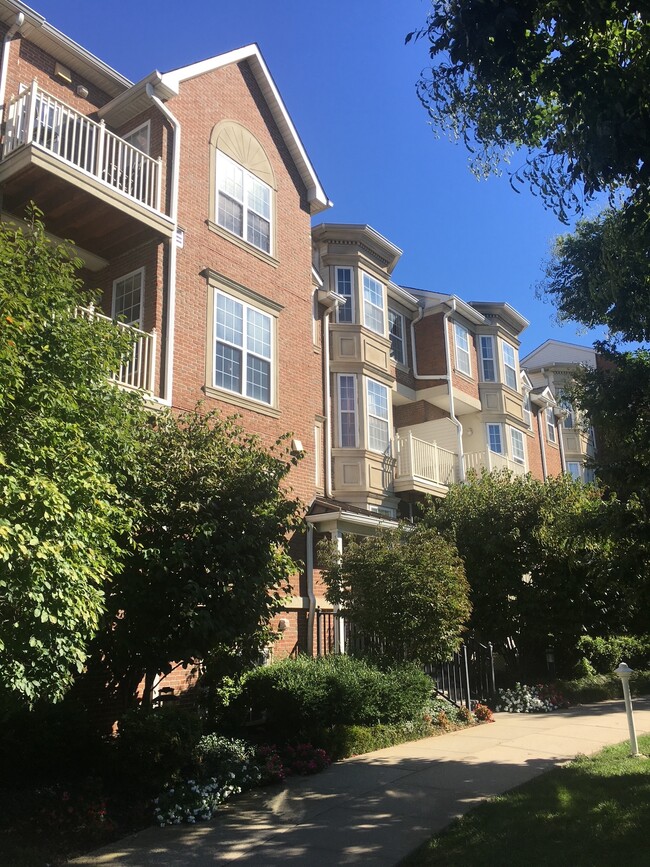 Building Photo - 201 Dey St