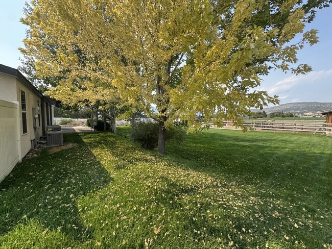 Building Photo - 3171 Horse Thief Dr