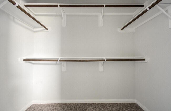 Building Photo - 2009 Cedar Br Dr