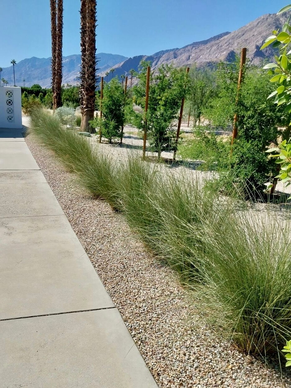 Building Photo - 277 East Racquet Club Road