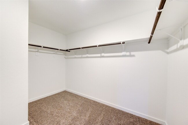 Building Photo - 2808 Misty Elm Ln