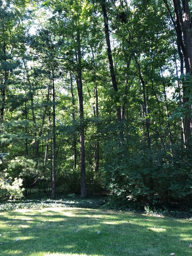 Building Photo - Beautiful Wooded Lot