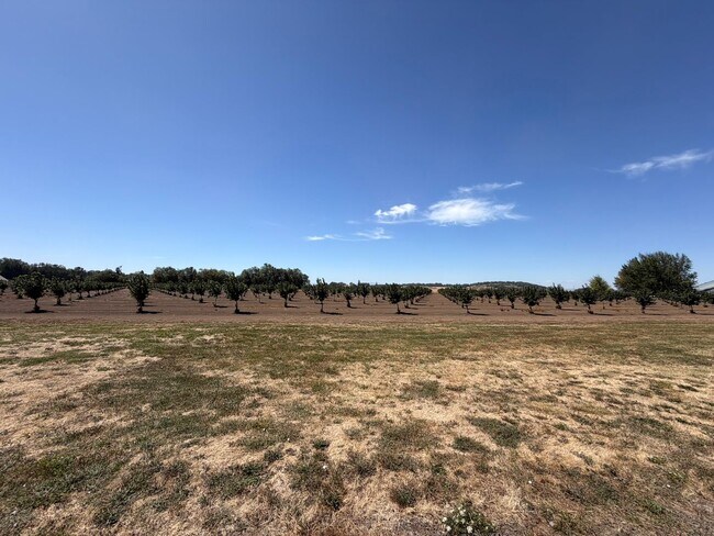 Building Photo - 27840 7 Mile Ln