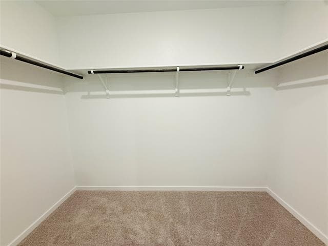 Building Photo - 12443 Lost Rock Dr