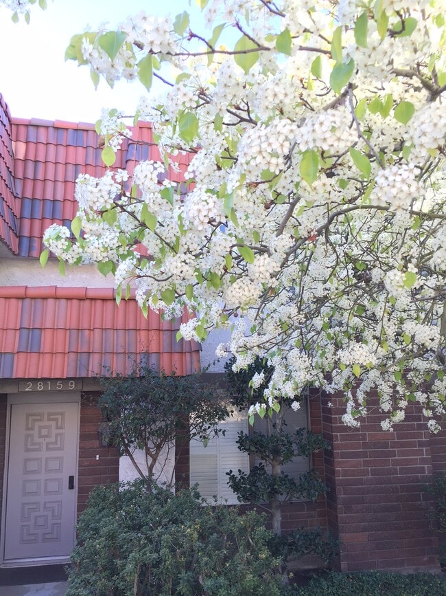 Building Photo - 28159 Ridgecove Ct S