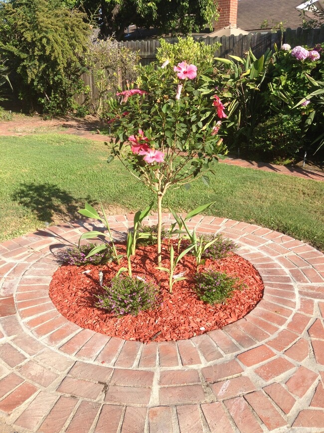 Building Photo - 841 Cortez St