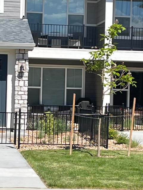 Charming fenced front porch area - 4115 N Park Dr