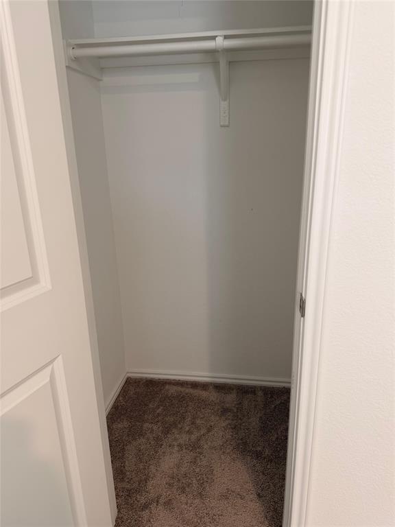 Building Photo - 2520 Four Waters Lp