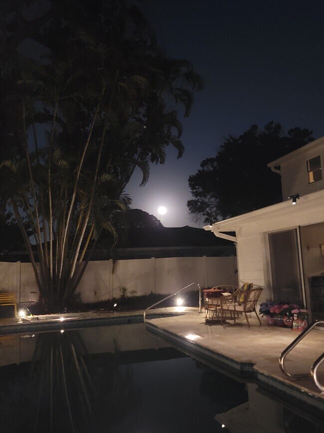 Spacious Back yard - 1279 86th Ave N
