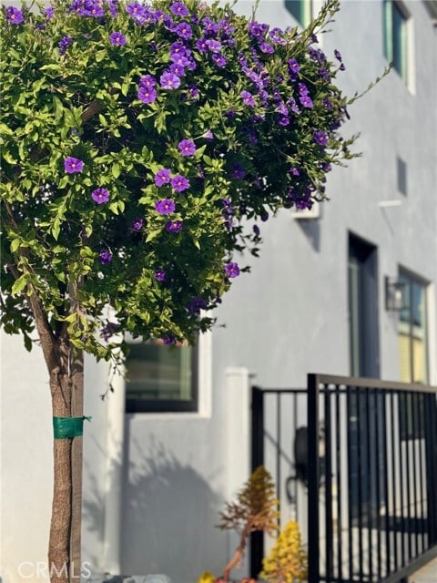 Building Photo - 506 Clubhouse Ave