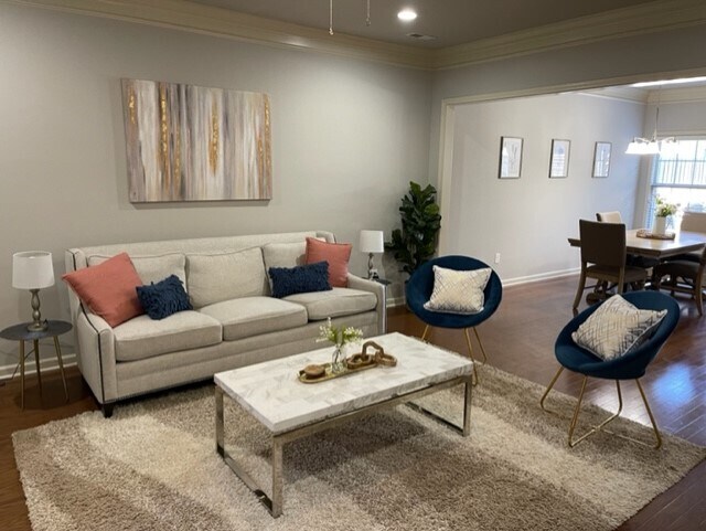Spacious Living Room - 117 Windsor Hill Rd SW