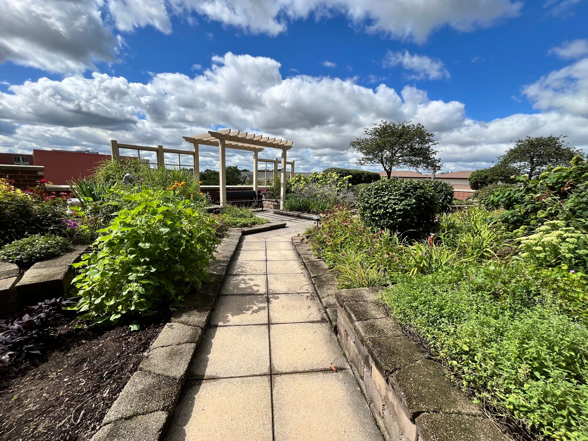 rooftop garden - 170 N Northwest Hwy