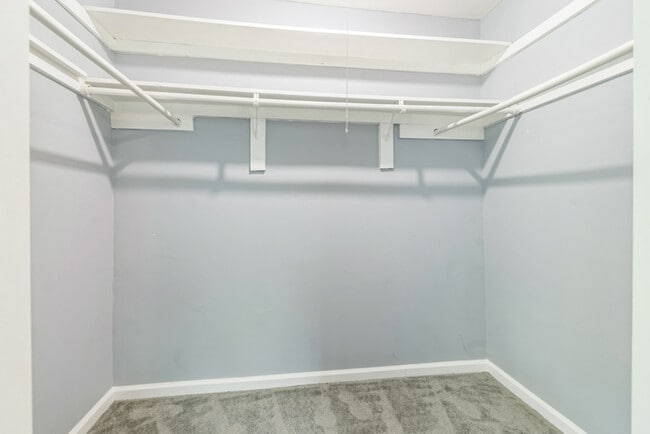 Building Photo - Pet Friendly Mid-Century Modern 4/Bedroom,...