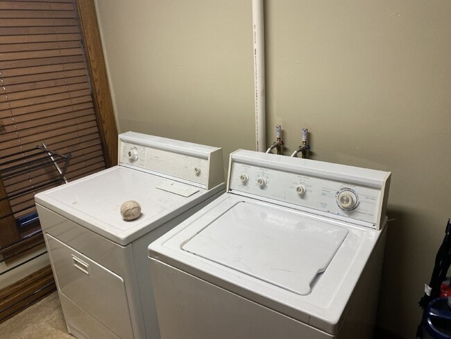 Building Photo - Spacious top floor 4 bed 1 bath by UWEC!