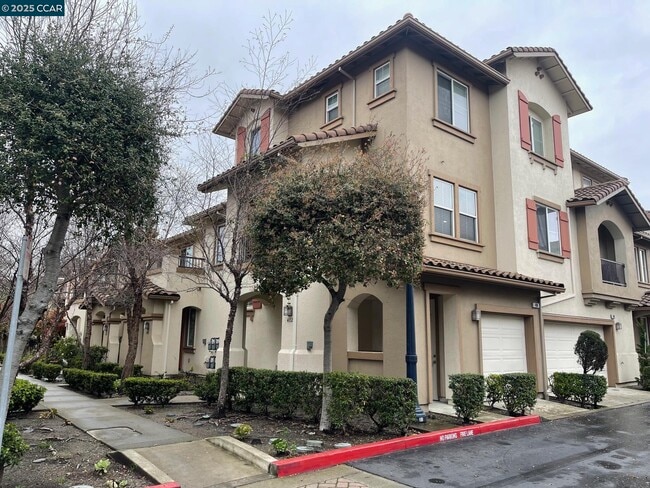 Building Photo - 404 Presidio St
