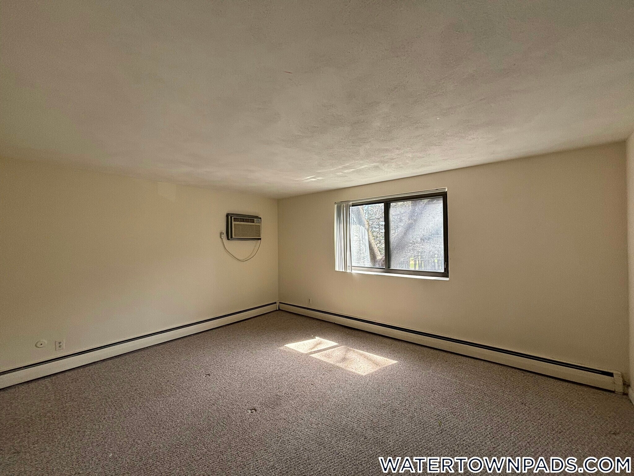 Building Photo - 245 Main St