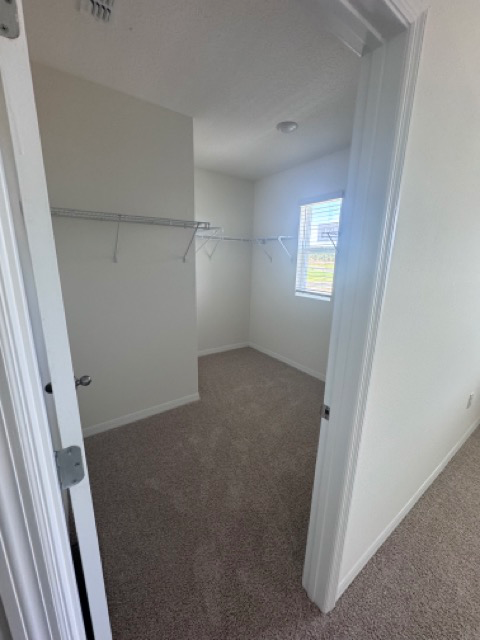 Building Photo - 2309 Hidden Palm Dr