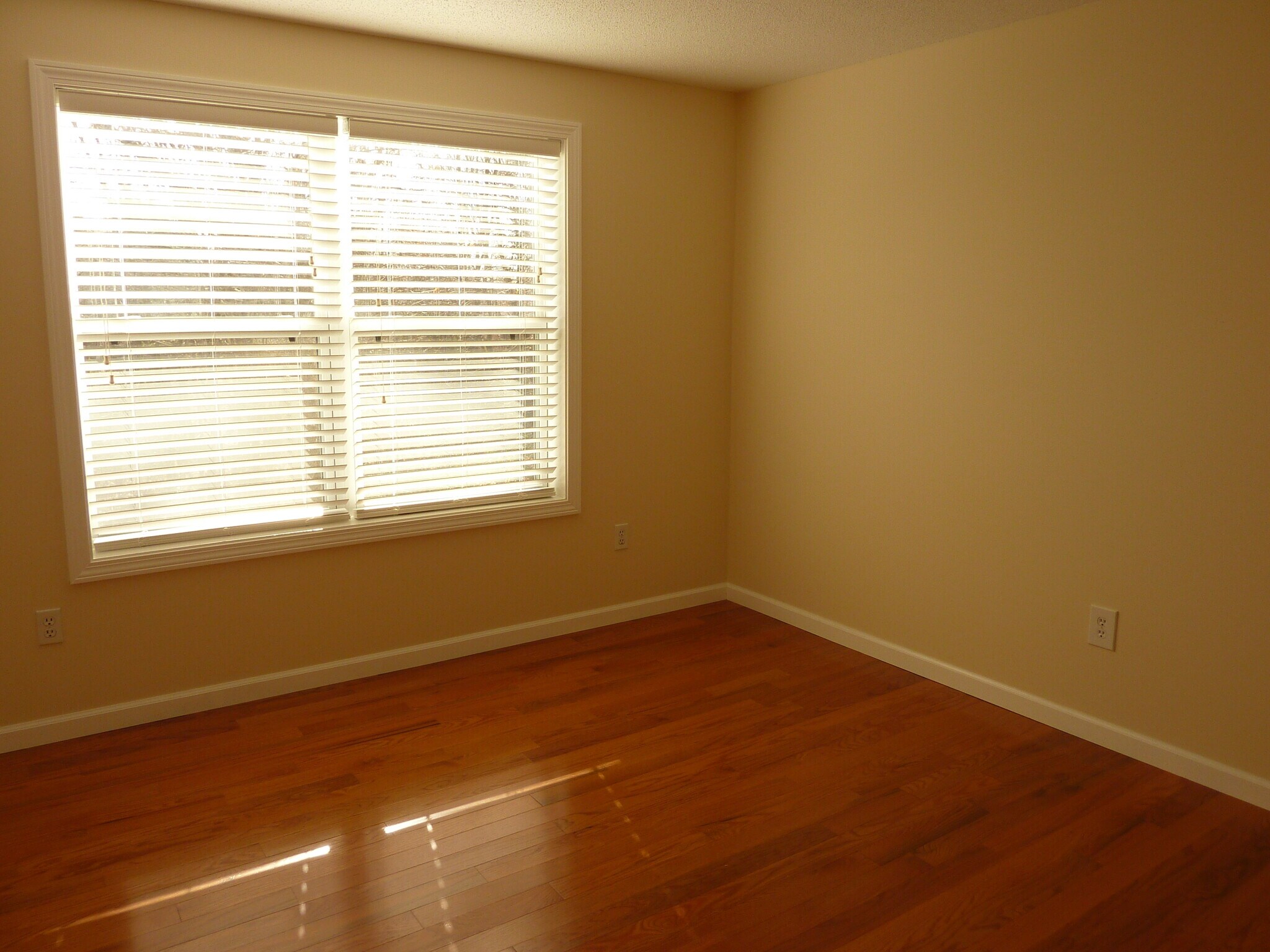 Building Photo - 14 Larkspur Ln